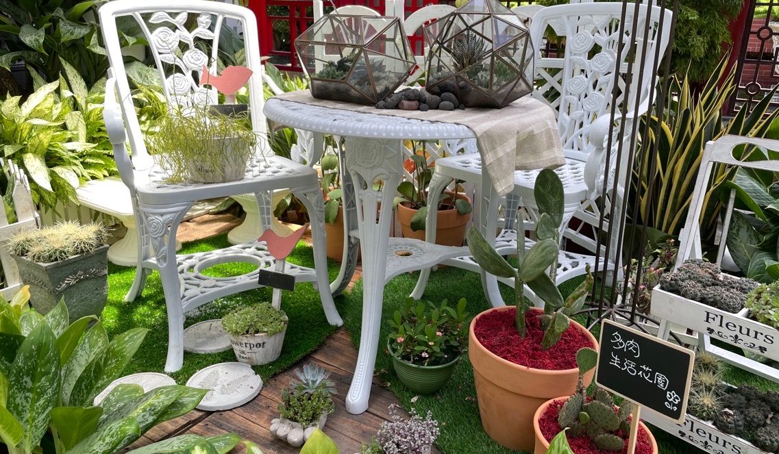 士林官邸多肉植物展