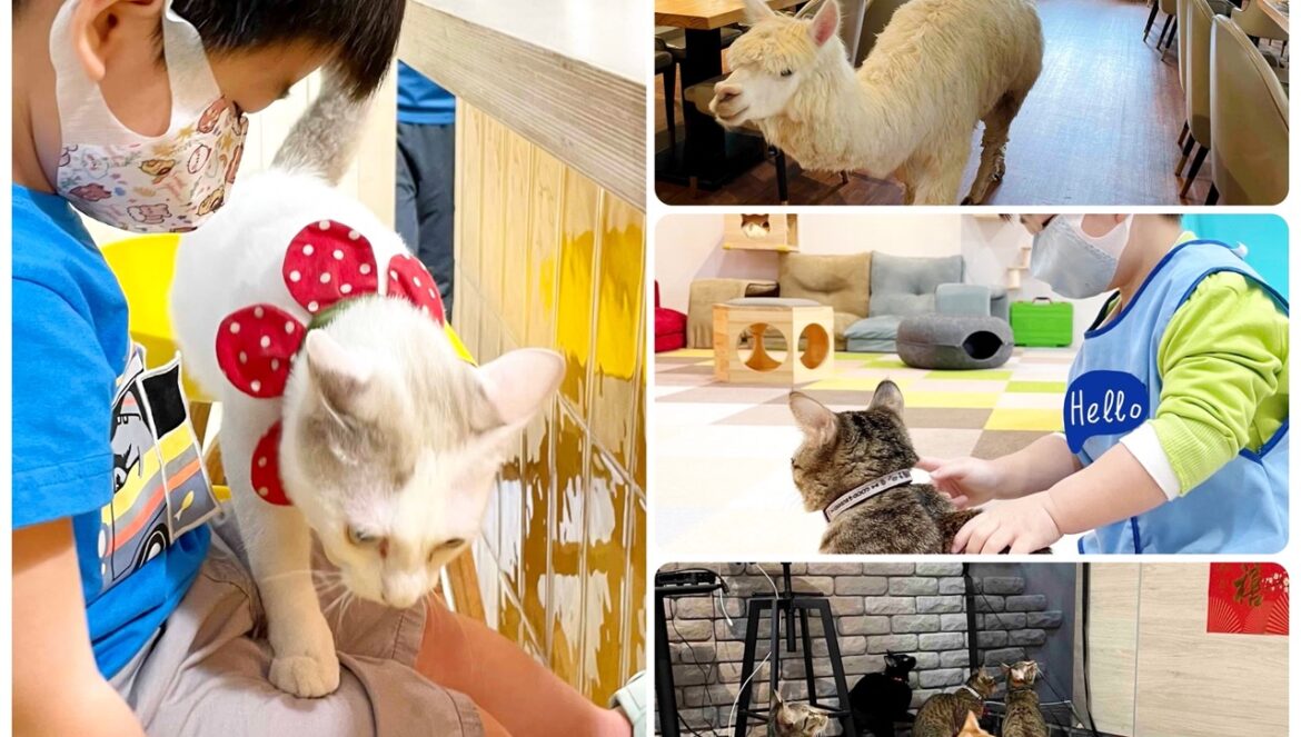 士林動物親子餐廳