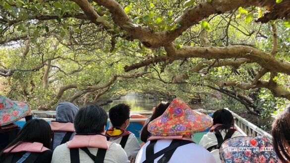 台南四草綠色隧道